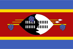 Swaziland (MTN)-logo